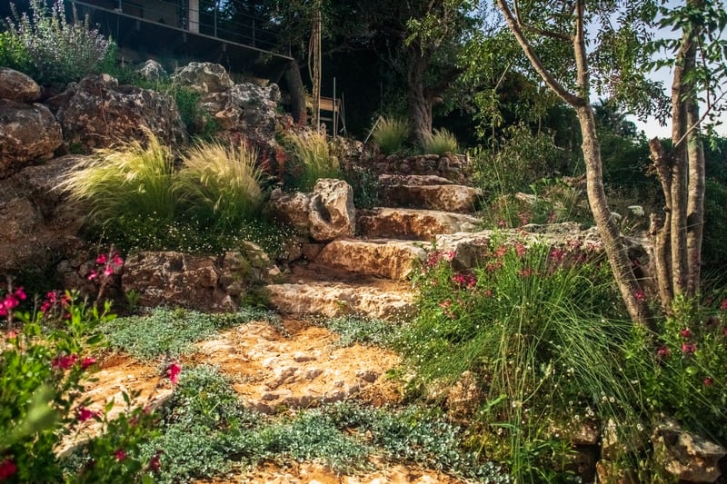 עיצוב גינה פרטית