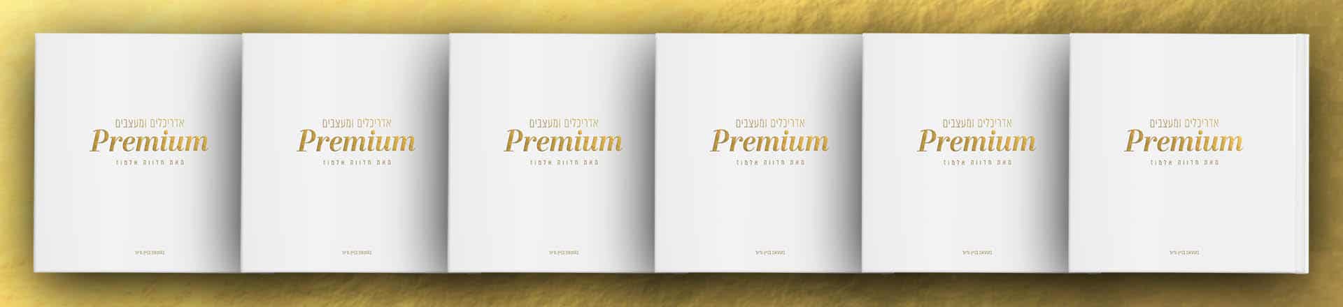 מפגש פרימיום: שיחה עם המעצבת יהודית שניידר