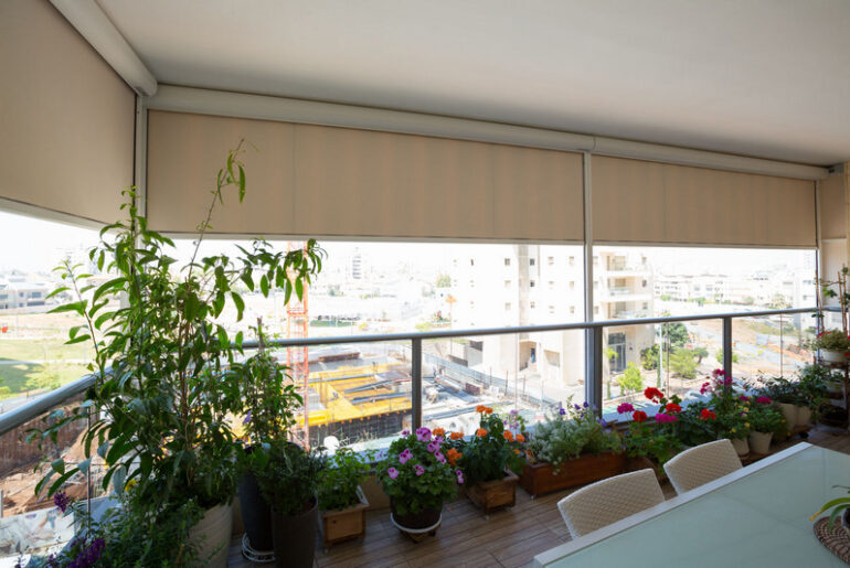 הצל שלי ואני יצאנו לדרך: סוככי מסך שתענוג להכיר