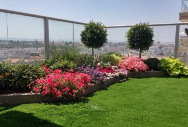 אל תביאו לי פרחים: כך תוסיפו לעצמכם ירוק בעיניים, ולא בואזה