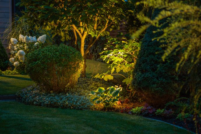 מדריך לעיצוב גינה ביתית