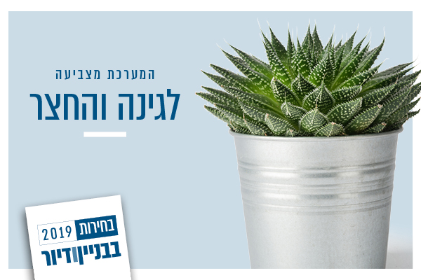 בחירות 2019 בחללי החוץ