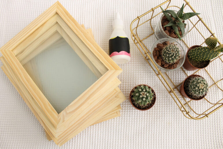 DIY: כך תכינו חממה ביתית לסוקולנטים