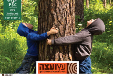 בונים ירוק: כל מה שרציתם לדעת על בנייה בעץ לפי התקן הירוק