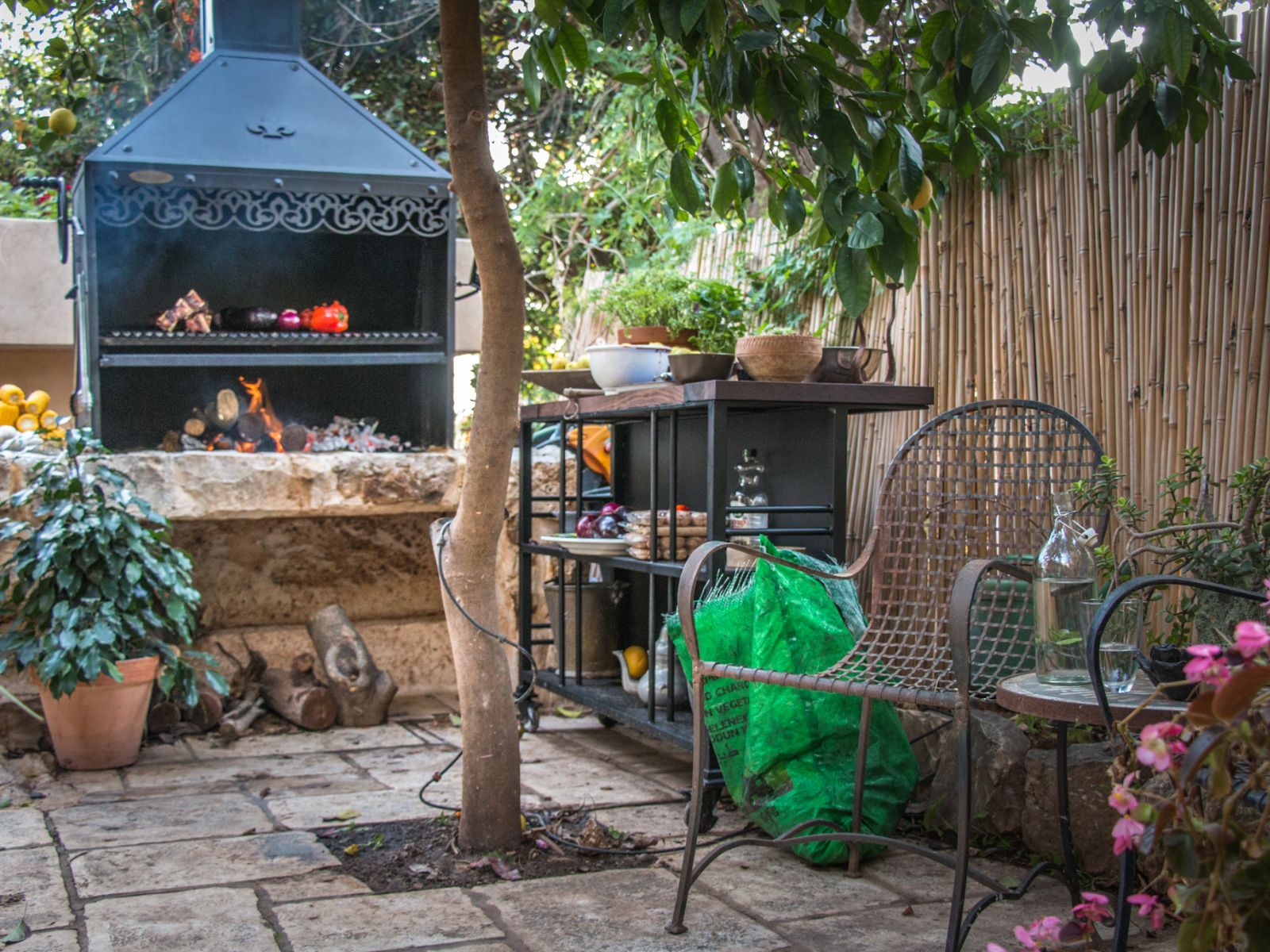 צילום: רועי מזרחי